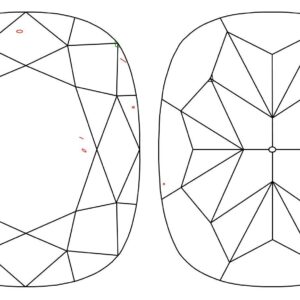 3.01 CUSHION-Modified E VS1