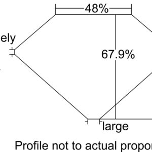 0.93 EUROPEANCUT I VS1