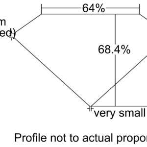 3.21 CUSHION-Modified I Y VS2