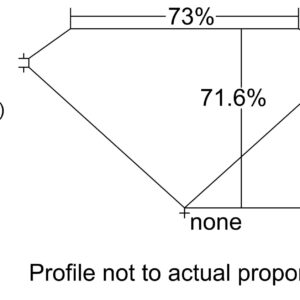 0.83 PRINCESS H VVS2